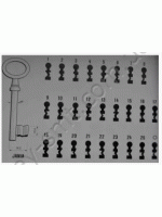 JANIA25 /ПОЛЬЩА/