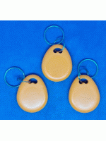 Заготовка  беcконтактная  двойной чип (чипы H7+MF3)