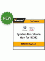 Калькуляция Synchro для BCM2 (D70F3634/D70F3381) All key lost