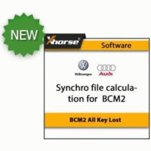 Калькуляция Synchro для BCM2 (D70F3634/D70F3381) All key lost