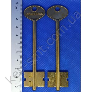 КЕРБЕРОС 2 (довгий) /Жовтий 2019/KER2D(DV255)