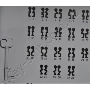 TYP N33 /Польша/