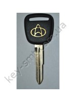 Jincheng правый(Китайское авто-лого золото)