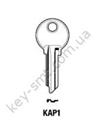 KAP1 /Silca/