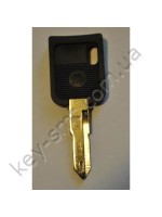 NE36P1  /Китай/