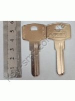 PALT6S /Canas/ ALTIN