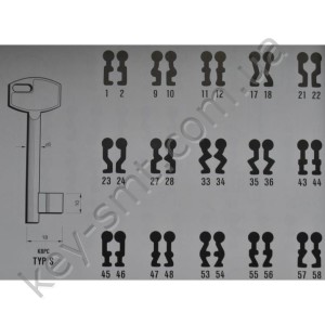 TYP S48 /Польша/