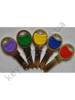 PKA17RCP /Canas/ цветной ассорт