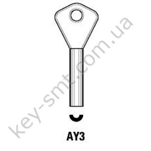 AY3 /Silca/