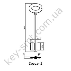 Страж-2  /100х15,6мм/д=6мм/