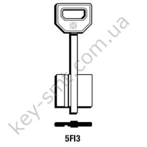 5FI3 /Silca/