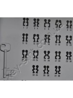 TYP N24 /Польша/