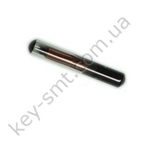 TPX-2 Cloner chip /JMA/