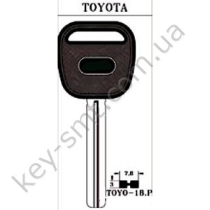 TOYO18P /JMA/