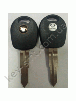 SSNG1P /Canas-контейнер/