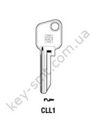 CLL1 /Silca/