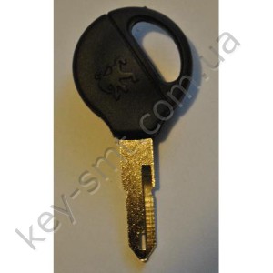 NE36P1 лого /Китай/