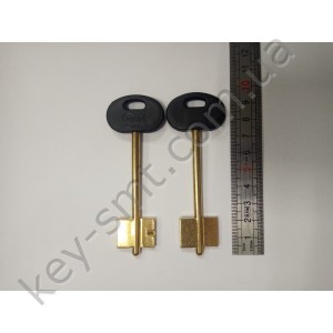 Меттем 09ПЛ/Жовтий 2019  (довгий вузький )