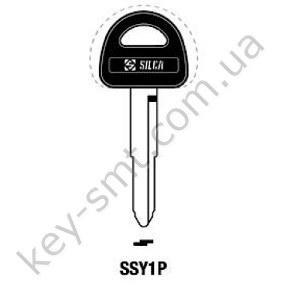 SSY1P /Silca/